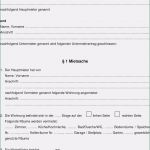 Testament Vorlage Word Neu 15 Neu Testament Muster Kostenlos Ausdrucken Bilder