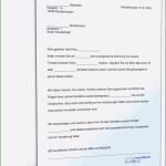 Testament Vorlage Word Wunderbar 13 Großartig Testament Vorlage Word Galerie