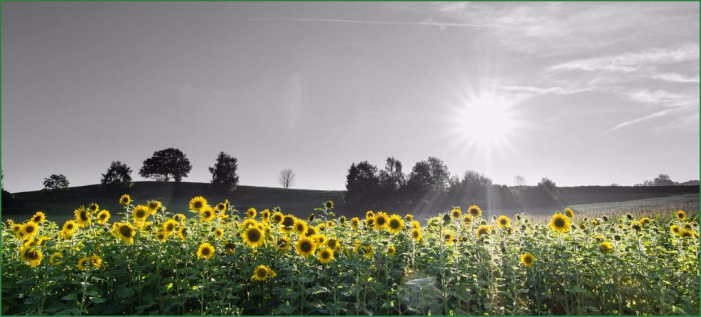 Trauerkarte Vorlage Download Kostenlos Einzigartig Trauerkarten Ausdrucken Kostenloser Download Für Private