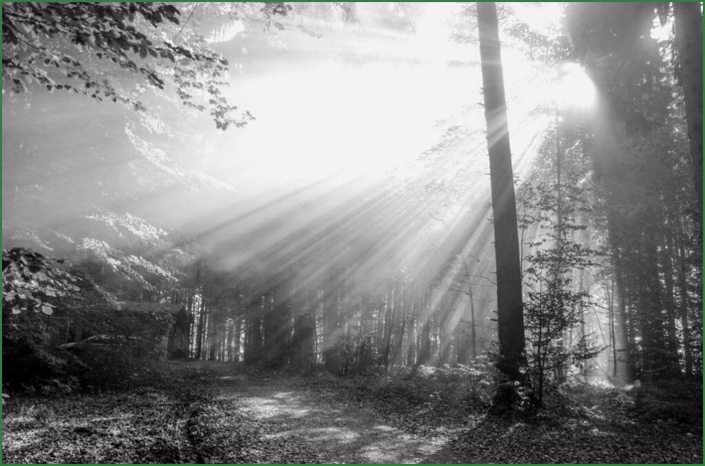 Trauerkarte Vorlage Download Kostenlos Elegant Trauerkarten Ausdrucken Kostenloser Download Für Private