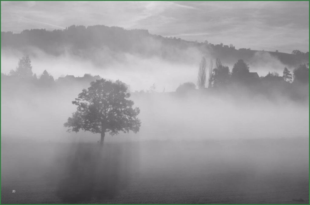 Trauerkarte Vorlage Download Kostenlos Gut Trauerkarten Ausdrucken Kostenloser Download Für Private