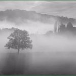 Trauerkarte Vorlage Download Kostenlos Gut Trauerkarten Ausdrucken Kostenloser Download Für Private