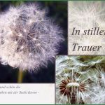 Trauerkarte Vorlage Download Kostenlos Wunderbar Trauerkarten Kostenlos Ausdrucken – Bürozubehör