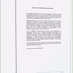Trauzeugenrede Vorlage Großartig 6 Hochzeitsrede Trauzeugin Vorlage Meltemplates