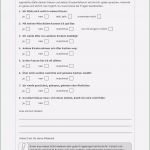 Umfrage Fragebogen Vorlage Einzigartig Kurze Umfragevorlage 3