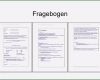 Umfrage Fragebogen Vorlage Schön Word Vorlage Fragebogen – Kebut