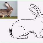 Umzugsliste Vorlage Wunderbar Portfolio