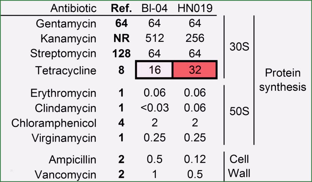 Uni Mannheim Powerpoint Vorlage Elegant 8 Ada Schein Vorlage Sampletemplatex1234