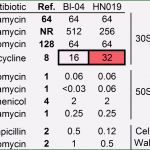Uni Mannheim Powerpoint Vorlage Elegant 8 Ada Schein Vorlage Sampletemplatex1234