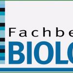 Uni Mannheim Powerpoint Vorlage Genial Projekt Modul