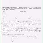 Urheberrecht Vorlage Elegant Musterverträge &amp; Muster Agb