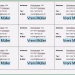 Visitenkarten Word Vorlage Kostenlos Hübsch 16 Visitenkarten Word Vorlage