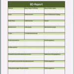 Vorlage 8d Report Excel Erstaunlich 8d Report Als Excelvorlage