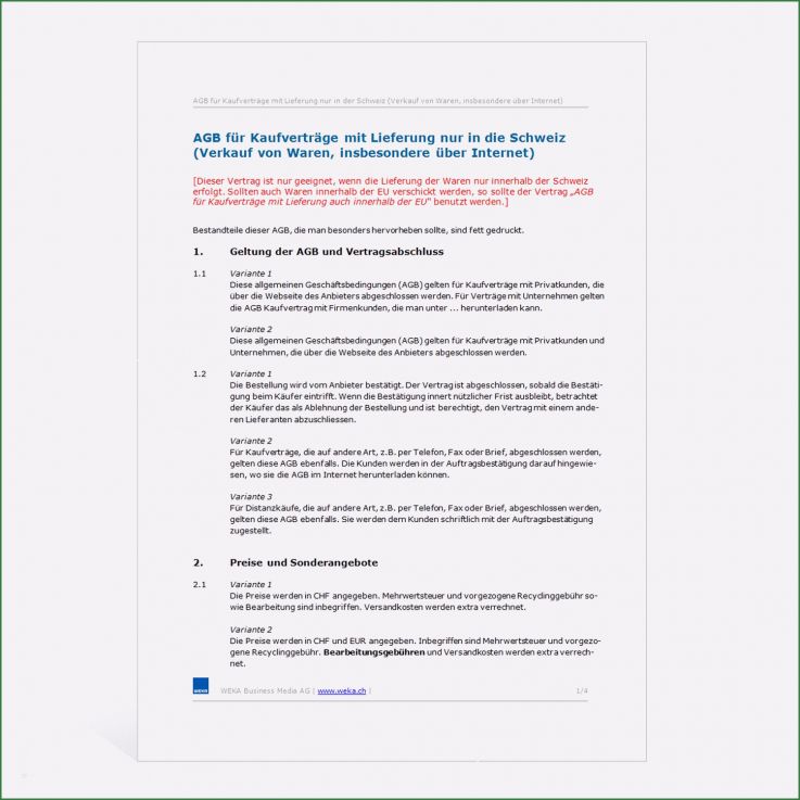 Vorlage Agb Einzigartig Vorlage Agb Lineshop