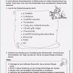 Vorlage Bedienungsanleitung Bewundernswert 15 Schmuckblatt Mit Linien