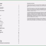 Vorlage Businessplan Für Existenzgründer Elegant Businessplan Vorlage Schweiz Word Kostenloser Download