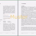 Vorlage Businessplan Für Existenzgründer Gut Architekt Businessplan Vorlage Für Gründerzuschuss Und