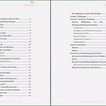 Vorlage Businessplan Für Existenzgründer Wunderbar 8 Businessplan Beispiel Pdf Vorlagen123 Vorlagen123