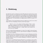 Vorlage Dokumentation soziale Arbeit Gut Projektarbeit Einleitung Schreiben Kommentar Zu Beispiel 1