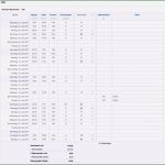 Vorlage Dokumentation Tägliche Arbeitszeit Elegant Vorlage Zur Dokumentation Der Täglichen Arbeitszeit 2019