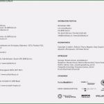 Vorlage Dokumentation Tägliche Arbeitszeit Schönste Vorlage Zur Dokumentation Der Täglichen Arbeitszeit Excel