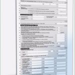 Vorlage Einkommensteuererklärung Süß Einkommensteuererklärung Beschränkt Steuerpflichtige 2017