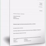 Vorlage Einspruch Gegen Steuerbescheid Schön Vorlage Widerspruch Steuerbescheid