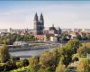 Vorlage Erbe Ausschlagen Bewundernswert Anwalt Für Erbrecht In Magdeburg Halle & Co