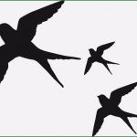 Vorlage Fensterbild Vogel Bewundernswert Vogel Silhouette Am Fenster Macht Glasscheiben Vogelsicher