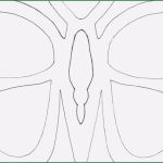 Vorlage Fensterbild Vogel Luxus Vorlage Vogel Basteln Stimmungs Ampel Basteln so Geht S