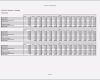 Vorlage Finanzplan Hübsch Business Wissen Management Security Finanzplan Businessplan