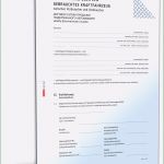 Vorlage Für Kündigung Kfz Versicherung Erstaunlich Kündigung Kfz Versicherung Vorlage