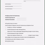 Vorlage Für Kündigung Kfz Versicherung Erstaunlich Kündigungsschreiben An Autoversicherung Was Muss Rein