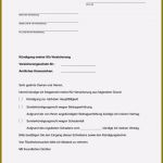 Vorlage Für Kündigung Kfz Versicherung Fabelhaft 11 Sensationell Kündigung Kfz Versicherung Vorlage Sie