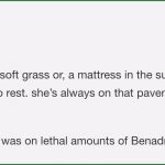 Vorlage Gesellschaftsvertrag Erstaunlich Tumblr Gets Deep 21 Pics