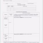 Vorlage Kundenzufriedenheit Fragebogen Erstaunlich 5 Fragebogen Kundenzufriedenheit Vorlage