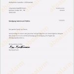 Vorlage Kündigung Internet Gut Unitymedia Online Kündigen
