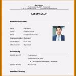 Vorlage Lebenslauf Praktikum Beste 16 Lebenslauf 8 Klasse