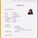 Vorlage Lebenslauf Praktikum Erstaunlich 18 Lebenslauf Vorlage Praktikum