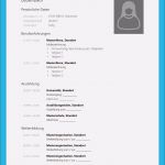 Vorlage Lebenslauf Praktikum Erstaunlich Lebenslauf Vorlage Professionell Kostenloser Download