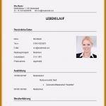 Vorlage Lebenslauf Praktikum Fabelhaft 15 Lebenslauf Praktika