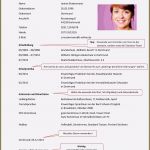 Vorlage Lebenslauf Praktikum Hübsch 7 Bewerbung Praktikum 8 Klasse Vorlage