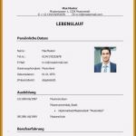 Vorlage Lebenslauf Praktikum Luxus 17 Muster Lebenslauf Praktikum