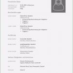 Vorlage Lebenslauf Praktikum Schönste Lebenslauf Muster 38 Kostenlose Muster Als Download