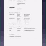 Vorlage Lebenslauf Praktikum Wunderbar 15 Lebenslauf Vorlage Praktikum 8 Klasse