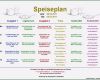 Vorlage Speiseplan Kindergarten Süß 15 Speiseplan Vorlage Kinder