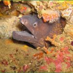 Vorlagen Lightroom Beste Lightroom Vorlagen Kostenlose Lightroom Presets Tinos