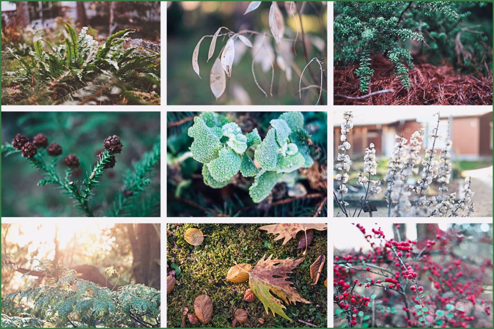 Vorlagen Lightroom Genial Lightroom Collagen Schnelle Vorlagen