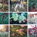 Vorlagen Lightroom Genial Lightroom Collagen Schnelle Vorlagen