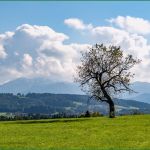 Vorlagen Lightroom Genial Lightroom Presets Vorlagen Zum Privaten Gebrauch